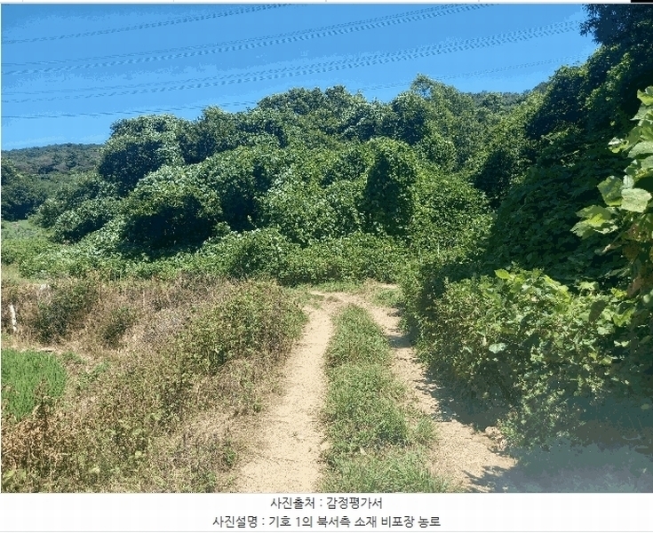 2025타경15816 충청남도 보령시 오천면 오포리 5-1 농지 경매 이미지