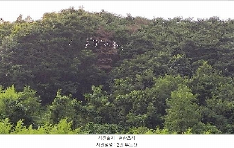 2025타경15816 충청남도 보령시 오천면 오포리 5-1 농지 경매 이미지