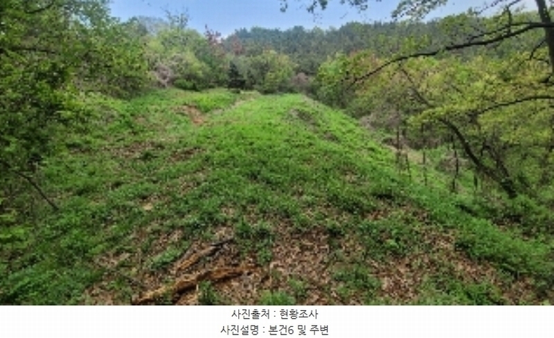 2024타경876 경상남도 함안군 대산면 부목리 산85-1 임야 경매 이미지