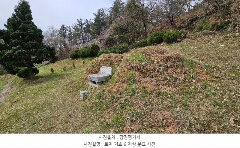 2024타경876 경상남도 함안군 대산면 부목리 산85-1 임야 경매 이미지