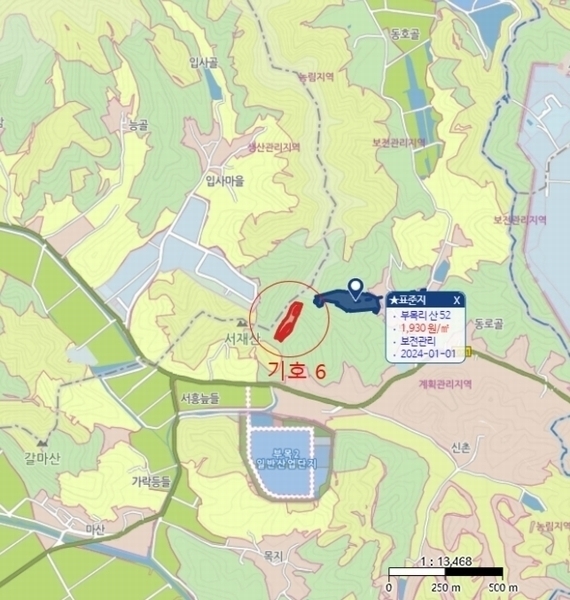 2024타경876 경상남도 함안군 대산면 부목리 산85-1 임야 경매 이미지