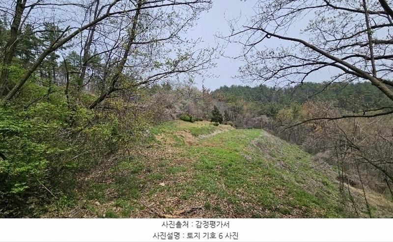 2024타경876 경상남도 함안군 대산면 부목리 산85-1 임야 경매 이미지