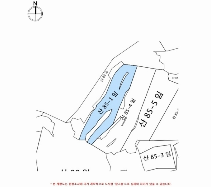 2024타경876 경상남도 함안군 대산면 부목리 산85-1 임야 경매 이미지