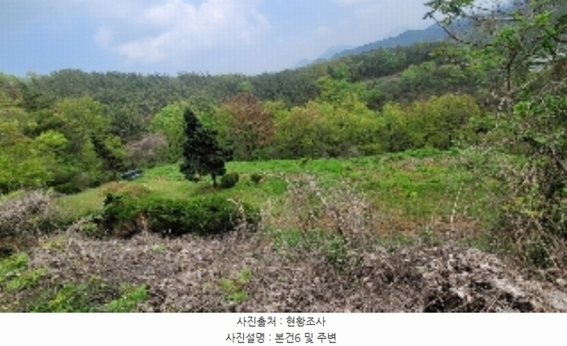 2024타경876 경상남도 함안군 대산면 부목리 산85-1 임야 경매 이미지