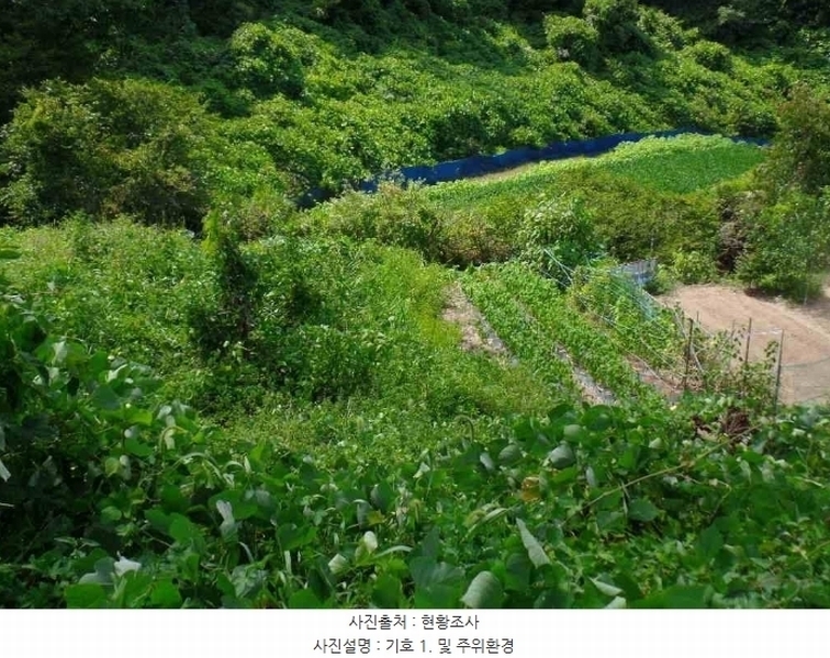2024타경21958 충청남도 논산시 벌곡면 수락리 355-17 농지 경매 이미지