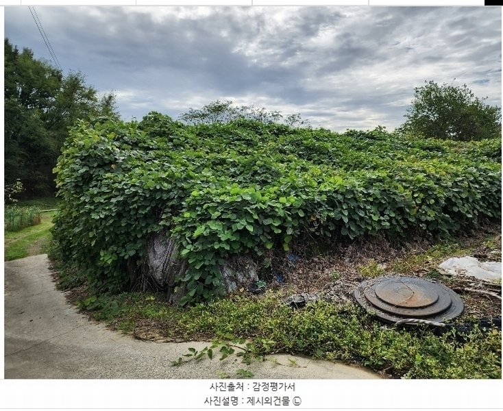 2024타경22876 충청남도 논산시 연산면 덕암리 13 대지 경매 이미지