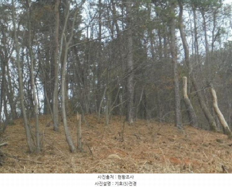 2025타경20167 충청남도 부여군 부여읍 신정리 202-1 주택 경매 이미지