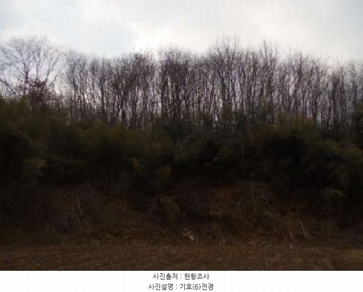 2025타경20167 충청남도 부여군 부여읍 신정리 202-1 주택 경매 이미지