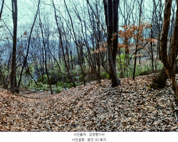 2025타경20167 충청남도 부여군 부여읍 신정리 202-1 주택 경매 이미지