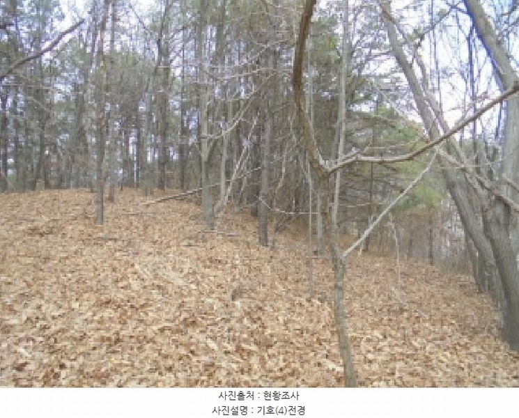 2025타경20167 충청남도 부여군 부여읍 신정리 202-1 주택 경매 이미지