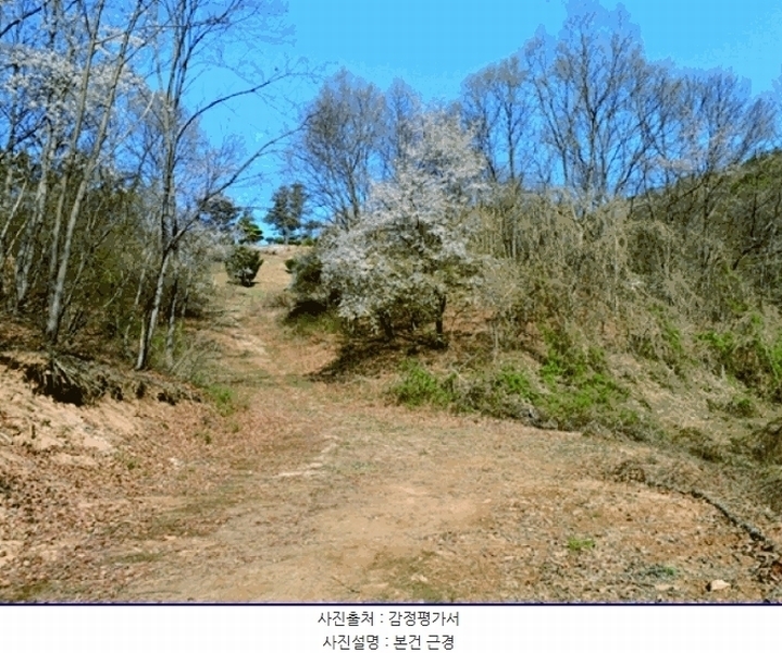2025타경20308 충청남도 계룡시 엄사면 향한리 산30-7 임야 경매 이미지