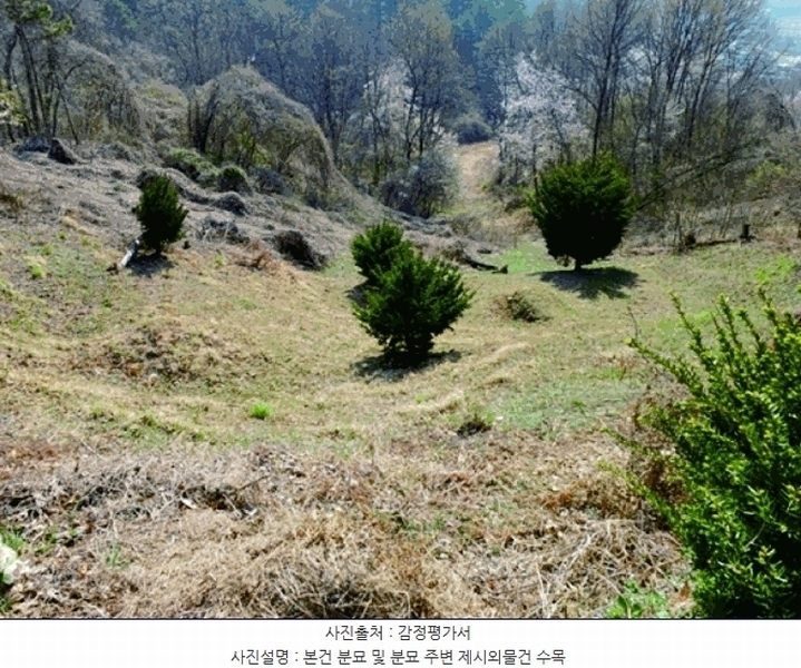 2025타경20308 충청남도 계룡시 엄사면 향한리 산30-7 임야 경매 이미지