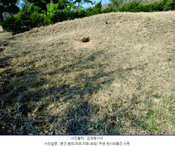 2025타경20308 충청남도 계룡시 엄사면 향한리 산30-7 임야 경매 이미지