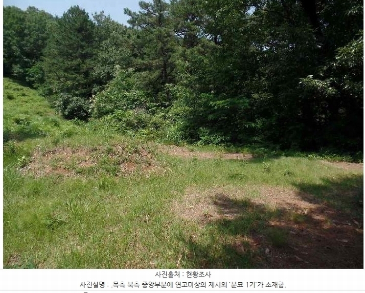 2025타경20308 충청남도 계룡시 엄사면 향한리 산30-7 임야 경매 이미지