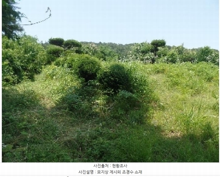 2025타경20308 충청남도 계룡시 엄사면 향한리 산30-7 임야 경매 이미지