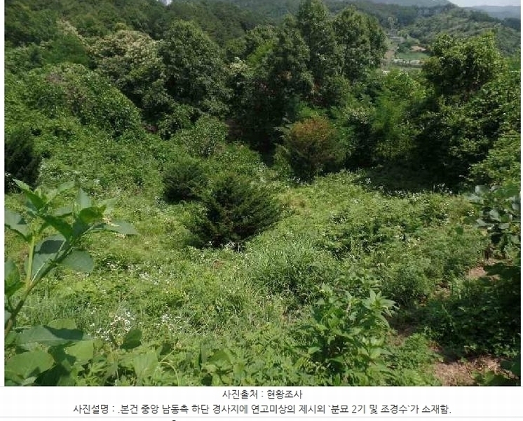 2025타경20308 충청남도 계룡시 엄사면 향한리 산30-7 임야 경매 이미지
