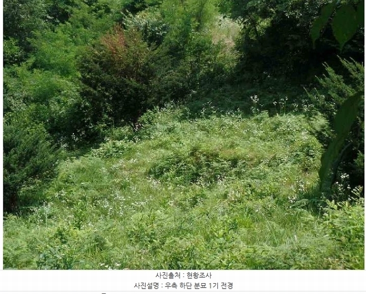 2025타경20308 충청남도 계룡시 엄사면 향한리 산30-7 임야 경매 이미지