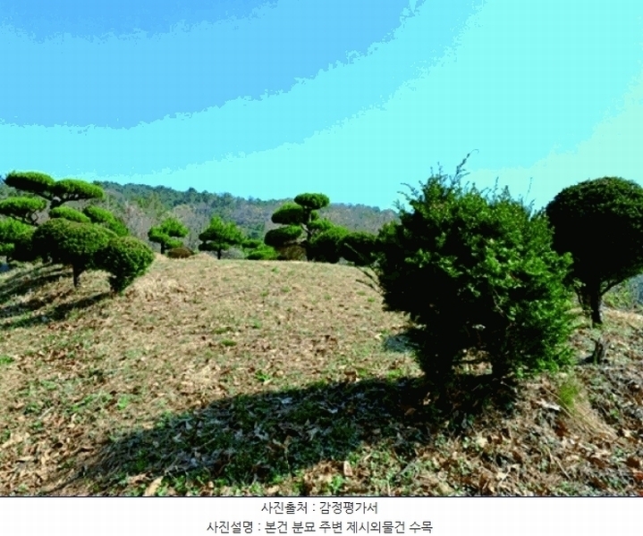 2025타경20308 충청남도 계룡시 엄사면 향한리 산30-7 임야 경매 이미지