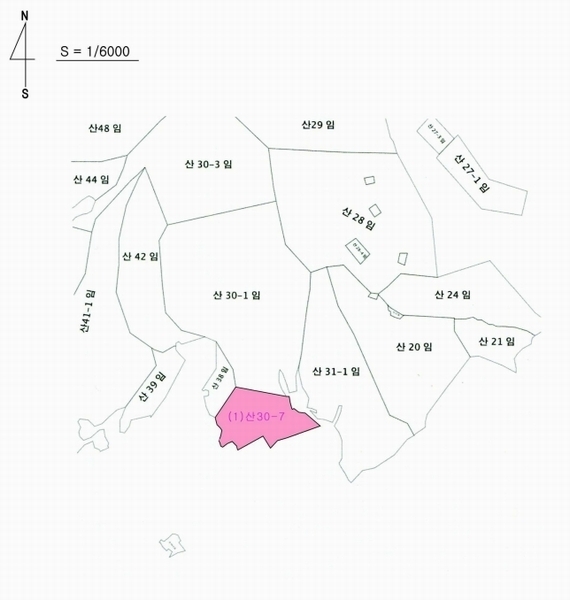2025타경20308 충청남도 계룡시 엄사면 향한리 산30-7 임야 경매 이미지