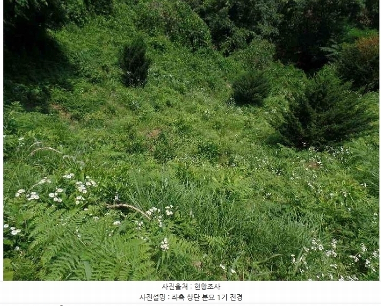 2025타경20308 충청남도 계룡시 엄사면 향한리 산30-7 임야 경매 이미지