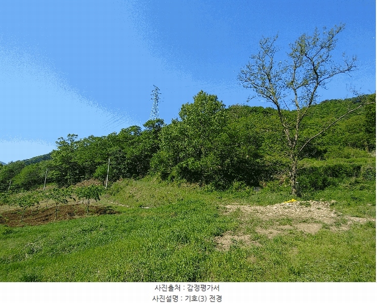 2025타경20337 충청남도 논산시 벌곡면 한삼천리 산30-1 임야 경매 이미지
