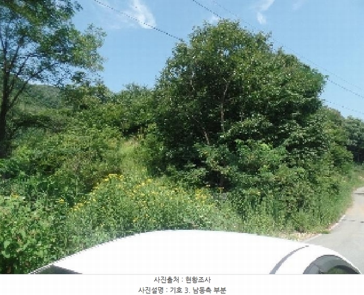 2025타경20337 충청남도 논산시 벌곡면 한삼천리 산30-1 임야 경매 이미지