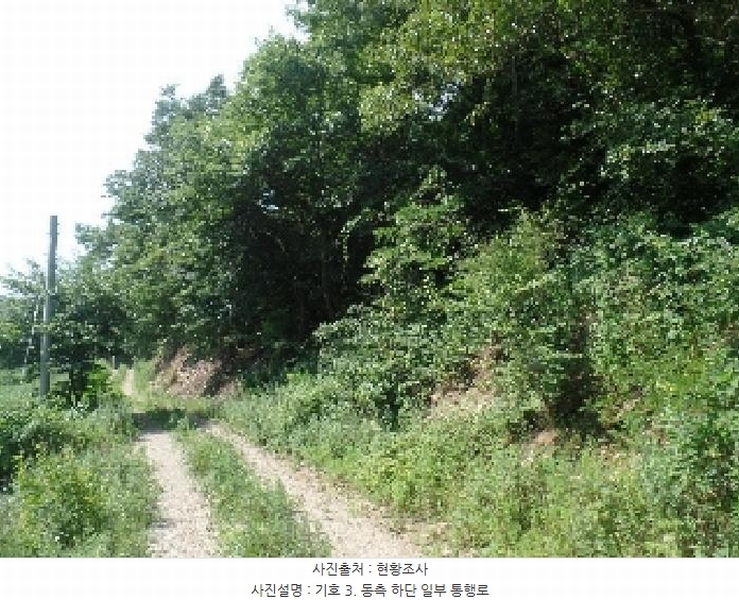 2025타경20337 충청남도 논산시 벌곡면 한삼천리 산30-1 임야 경매 이미지
