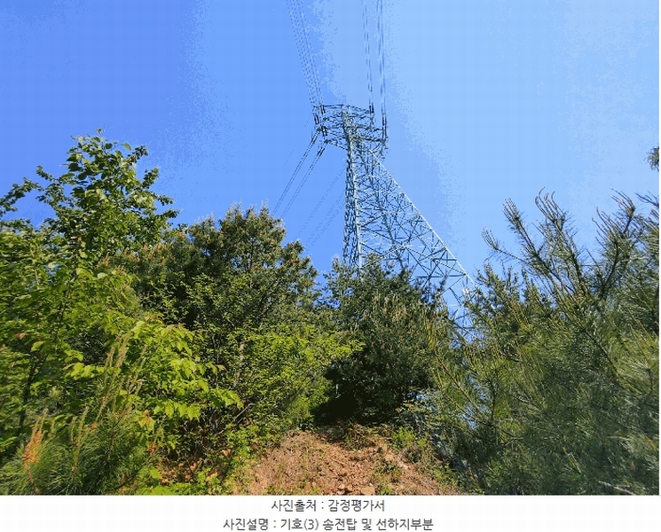 2025타경20337 충청남도 논산시 벌곡면 한삼천리 산30-1 임야 경매 이미지