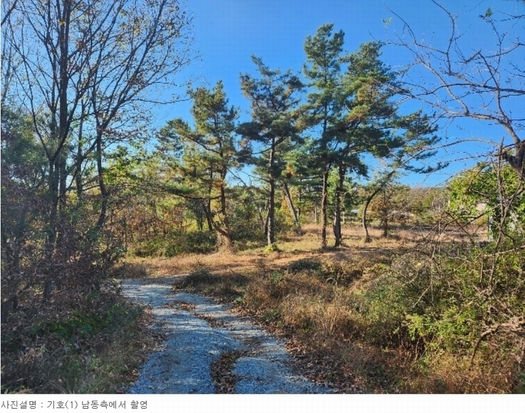 2023타경1957 충청남도 논산시 상월면 상도리 산70 임야 경매 이미지