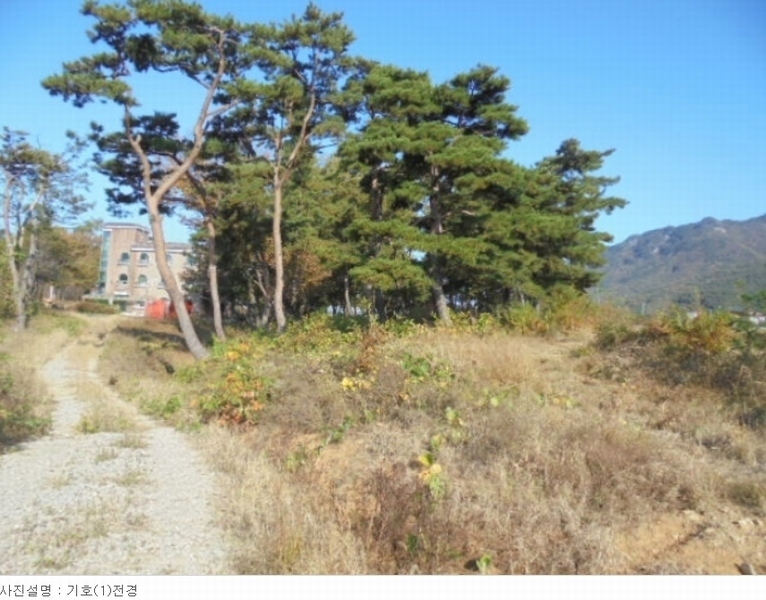 2023타경1957 충청남도 논산시 상월면 상도리 산70 임야 경매 이미지