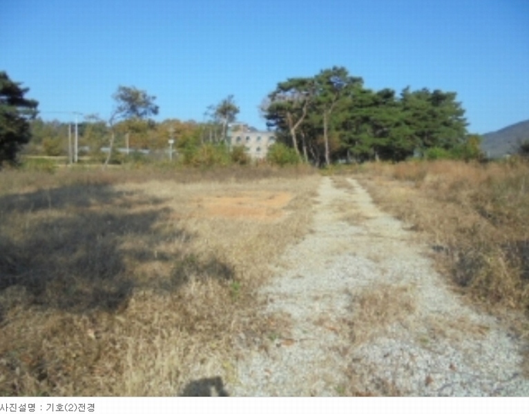 2023타경1957 충청남도 논산시 상월면 상도리 산70 임야 경매 이미지