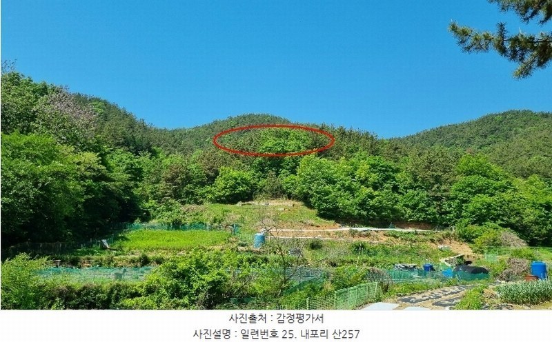 2024타경869 경상남도 창원시 마산합포구 구산면 내포리 산257 임야 경매 이미지