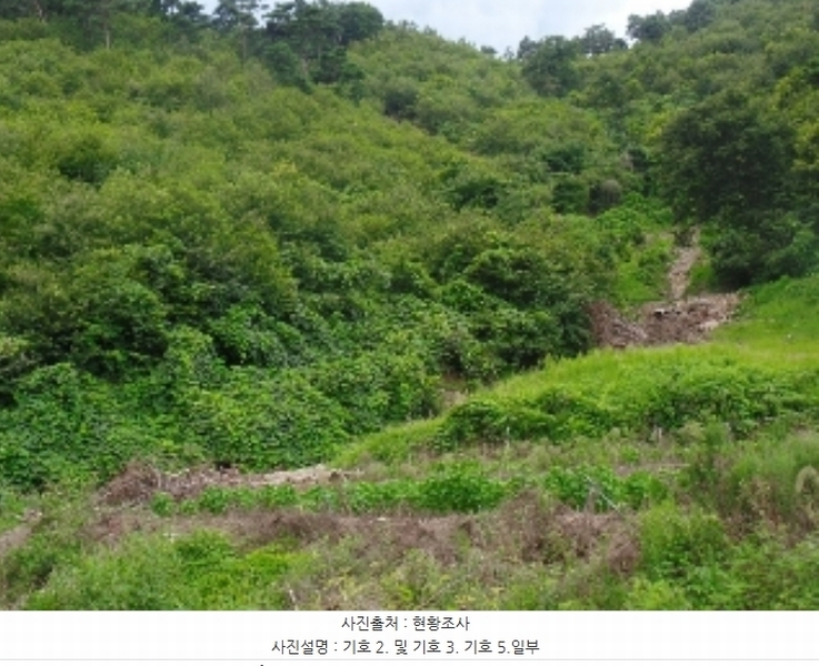 2024타경1015 충청남도 논산시 양촌면 반암리 137 임야 경매 이미지