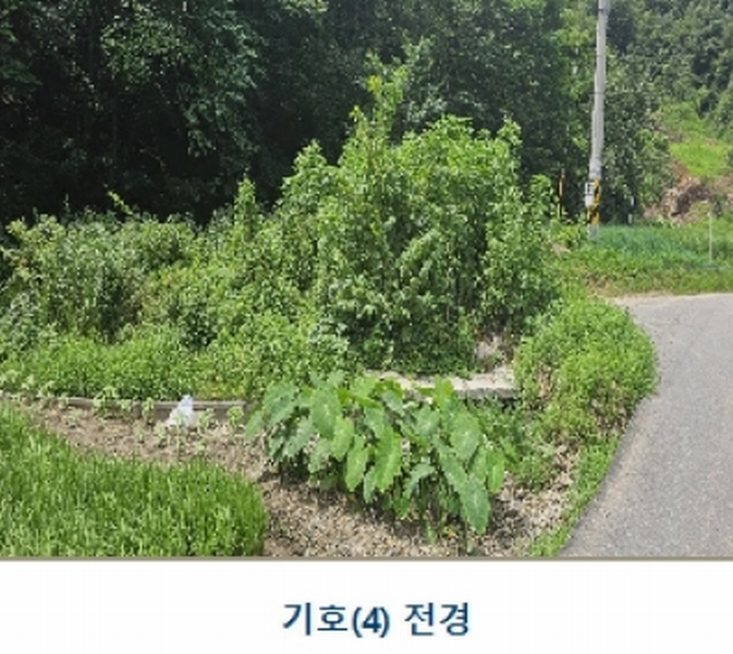 2024타경1015 충청남도 논산시 양촌면 반암리 137 임야 경매 이미지