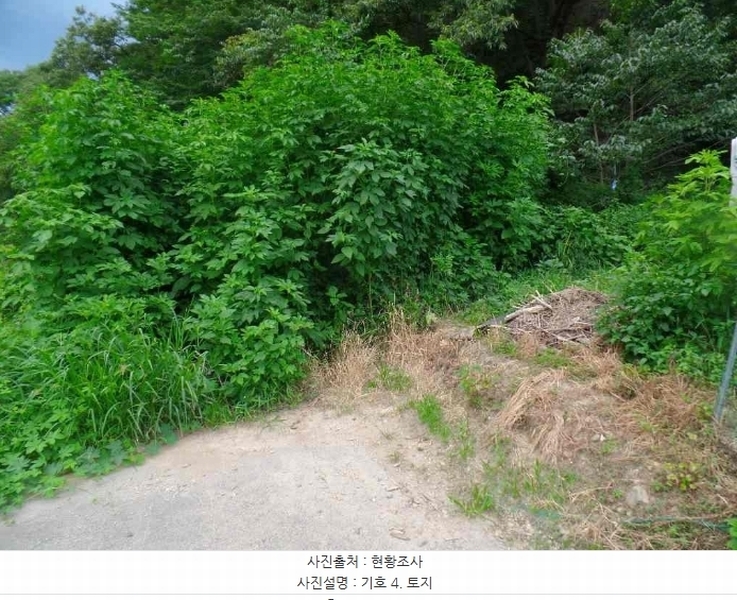2024타경1015 충청남도 논산시 양촌면 반암리 137 임야 경매 이미지