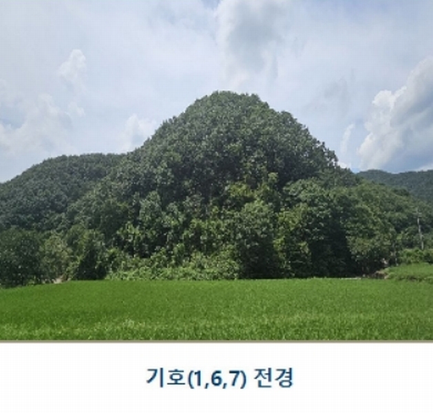 2024타경1015 충청남도 논산시 양촌면 반암리 137 임야 경매 이미지