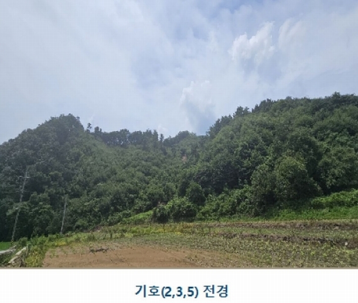 2024타경1015 충청남도 논산시 양촌면 반암리 137 임야 경매 이미지