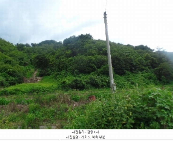 2024타경1015 충청남도 논산시 양촌면 반암리 137 임야 경매 이미지