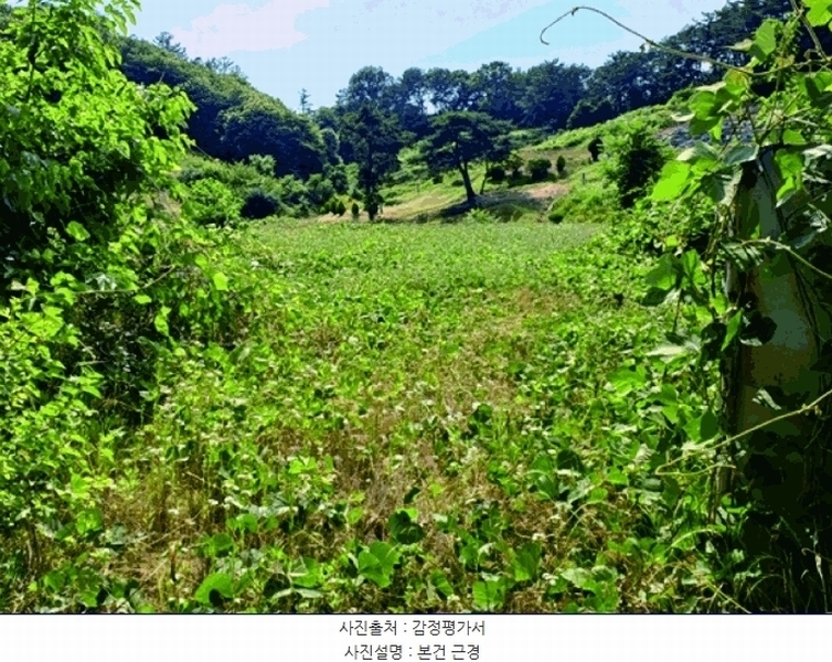 2025타경20368 충청남도 논산시 벌곡면 신양리 401 농지 경매 이미지
