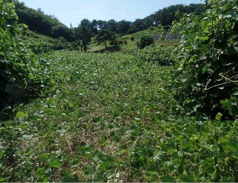 2025타경20368 충청남도 논산시 벌곡면 신양리 401 농지 경매 이미지