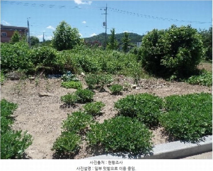 2025타경20399 충청남도 논산시 연산면 한전리 472 대지 경매 이미지