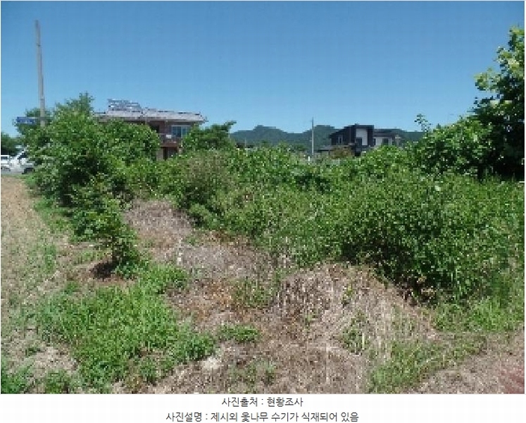 2025타경20399 충청남도 논산시 연산면 한전리 472 대지 경매 이미지