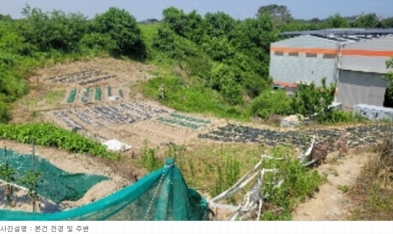 2024타경1206 경상남도 함안군 법수면 윤외리 1738 농지 경매 이미지