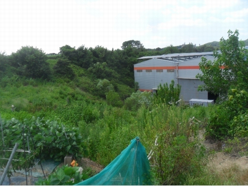 2024타경1206 경상남도 함안군 법수면 윤외리 1738 농지 경매 이미지