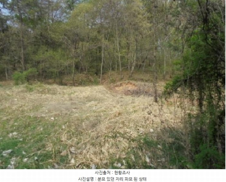 2025타경20282 충청남도 부여군 충화면 천당리 산209 임야 경매 이미지