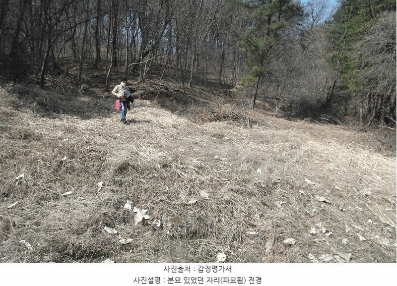 2025타경20282 충청남도 부여군 충화면 천당리 산209 임야 경매 이미지