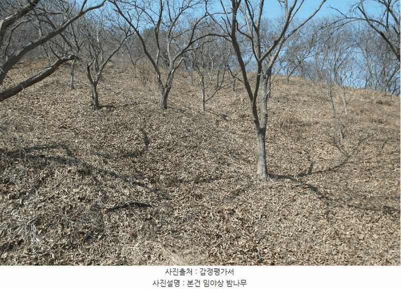 2025타경20282 충청남도 부여군 충화면 천당리 산209 임야 경매 이미지