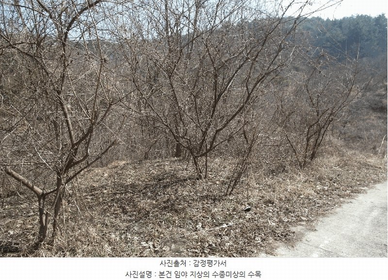 2025타경20282 충청남도 부여군 충화면 천당리 산209 임야 경매 이미지