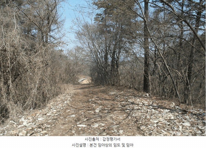 2025타경20282 충청남도 부여군 충화면 천당리 산209 임야 경매 이미지