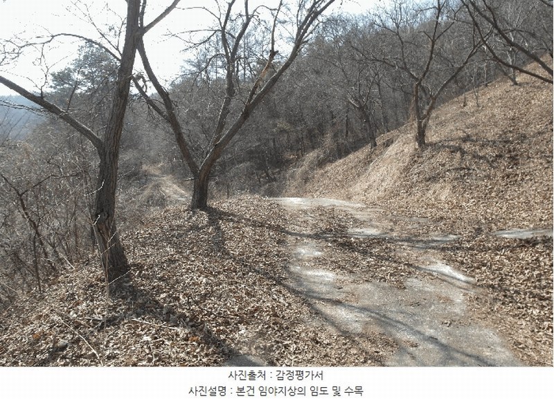 2025타경20282 충청남도 부여군 충화면 천당리 산209 임야 경매 이미지